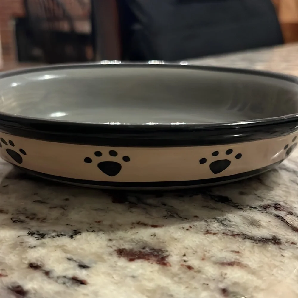 Pet cat bowl